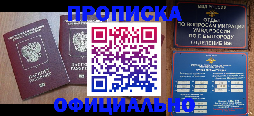 найти адрес прописки в Курске